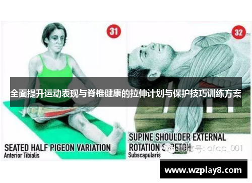 全面提升运动表现与脊椎健康的拉伸计划与保护技巧训练方案